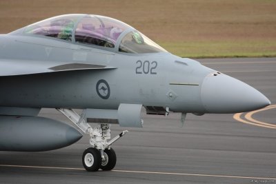 Australian Super Hornet 24 May 10