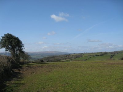 Dartmoor landcape