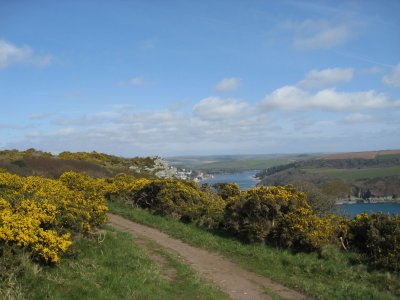 Cliff path near Salcombe