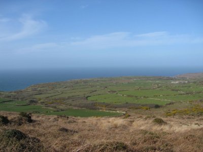 Cornish landscape