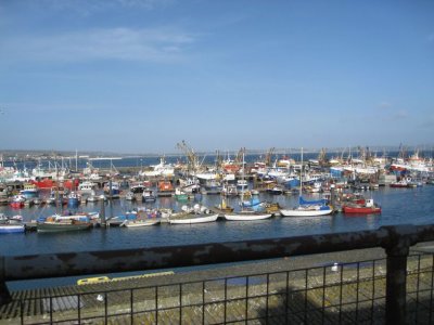 Newlyn fishing fleet