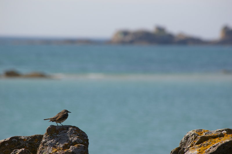 Pointe des Chevets