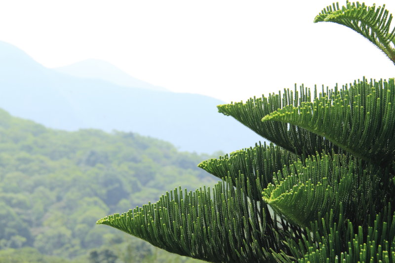 Lantau #3