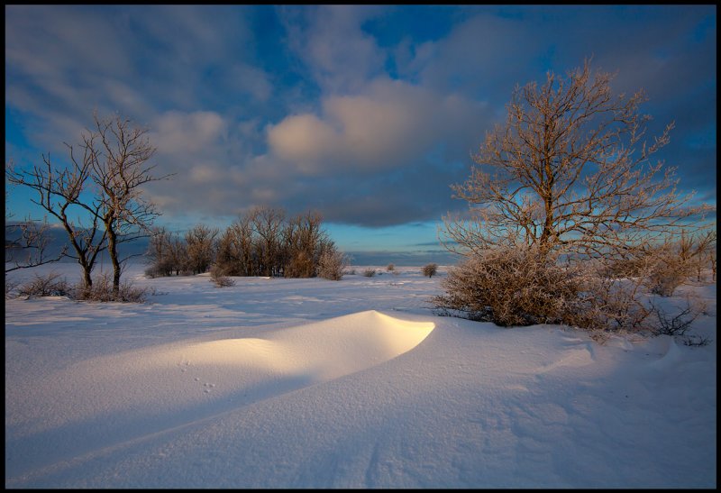 Near Ottenby Kungsgrd  13 degrees below zero....