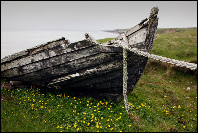 Old boat at Fetlar