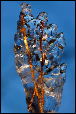 Icefoot with small frozen branches - Huseby