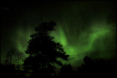 -10 degrees Celius and Northern lights (aurora borealis) near Kaamanen - Finland