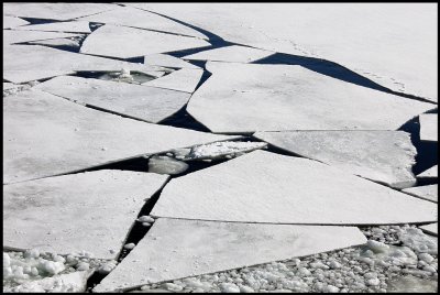 The pack-ice in golf of Botnia