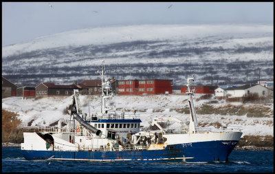 Big fishing vesse Havbas entering Vads harbour