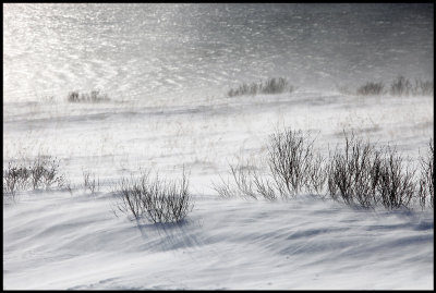 Snowdrift near Vestre Jacobselv