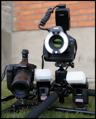 Makro - 180/3,5L and 100/2,8 with flashes + Low tripods from Bilora and Velbon