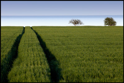 Fields at ssby - land