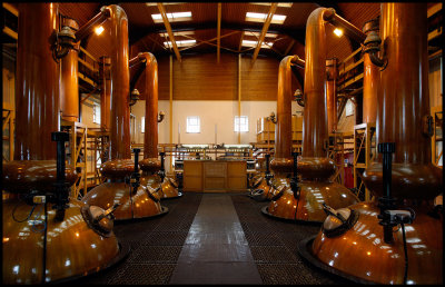 The impressing copper pot stills at Glenmorangie