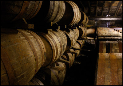 Glenmorangie warehouse with lots of barrels