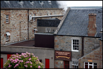 Glenmorangie distillery - near Tain