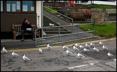 Waiting for french fries - Seahouses / England