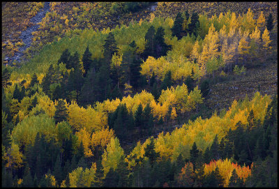 Aspens - Norway