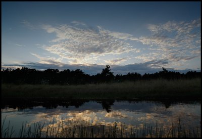 Dawn at Ekstakusten nature reserve - Gotland