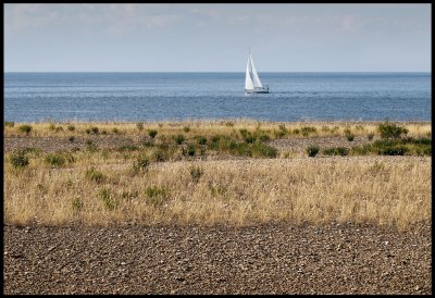 Sailing pass Neptuni åkrar - Öland