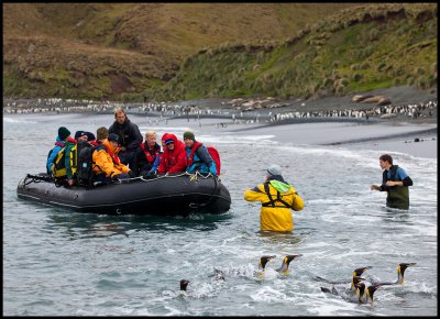 Nathan Russ helping a Zodiac with a wet landing on Macquarie island