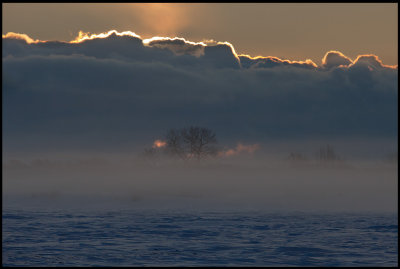 The fields near Ottenby Kungsgrd at sunrise
