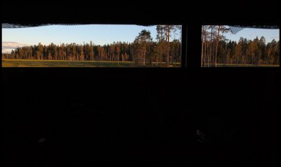 A room with a view...... late evening in our hide at the bog