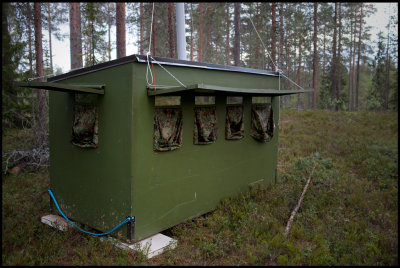 Forrest hide belonging to Boreal Wildlife Center. Double camouflage layers and tall roof ventilation for less smell....