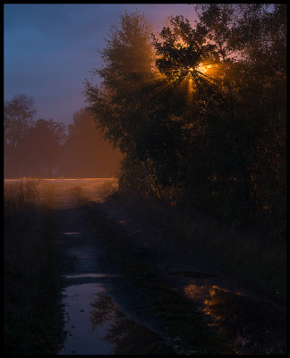 Roadside lamp a foggy evening near Trekanten