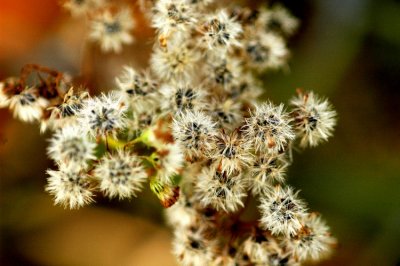 DSC_2641_edited-1.jpg