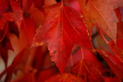 DSC_2863_edited-1.jpg