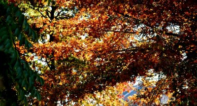 DSC_2837_edited-1.jpg