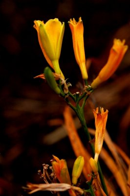 DSC_3026_edited-1.jpg