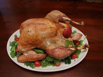 800turkey6PC253391.jpg