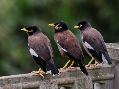 800myna9bP2223468.jpg