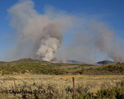 Fire near Strawberry Creek