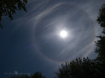 A friend called to tell me to grab my camera and go look at the sun! Here is what I caught!