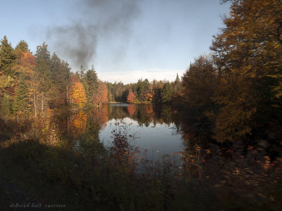 fall12-3.jpg
