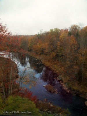 fall12-7.jpg