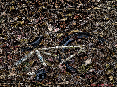 Bike trashed in the woods.