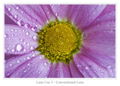 Lens Use 3 - Conventional Lens (macro)