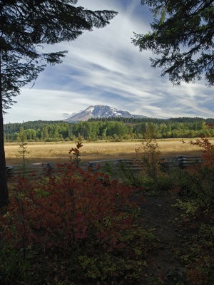 Elk Meadows 1