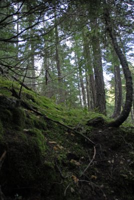 Hobbit Trail