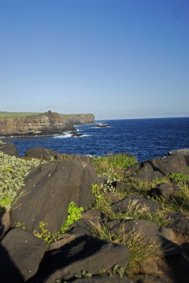 Albatross Cliffs 2