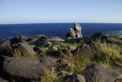 Albatross Cliffs 3