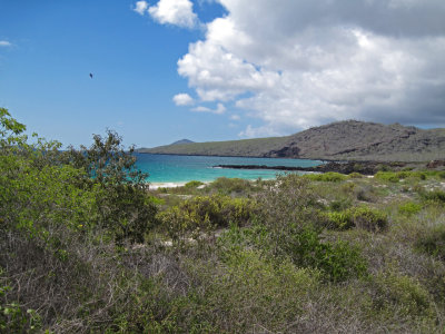 Punta Cormorant 1