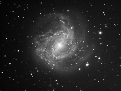 M83 Spiral Galaxy