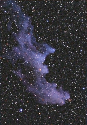 IC 2118 Witch Head Nebula