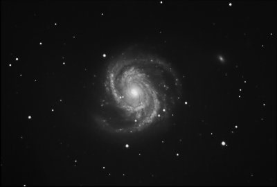 M100 Spiral Galaxy