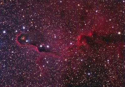 vdB142 Elephant Trunk Nebula