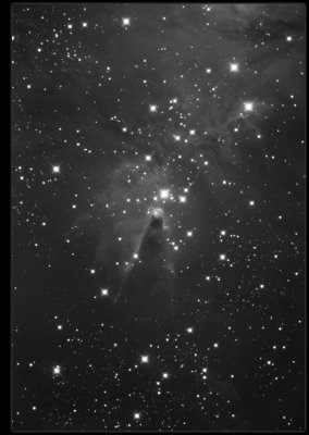 NGC 2264 Cone nebula (aka Jesus Christ Nebula)